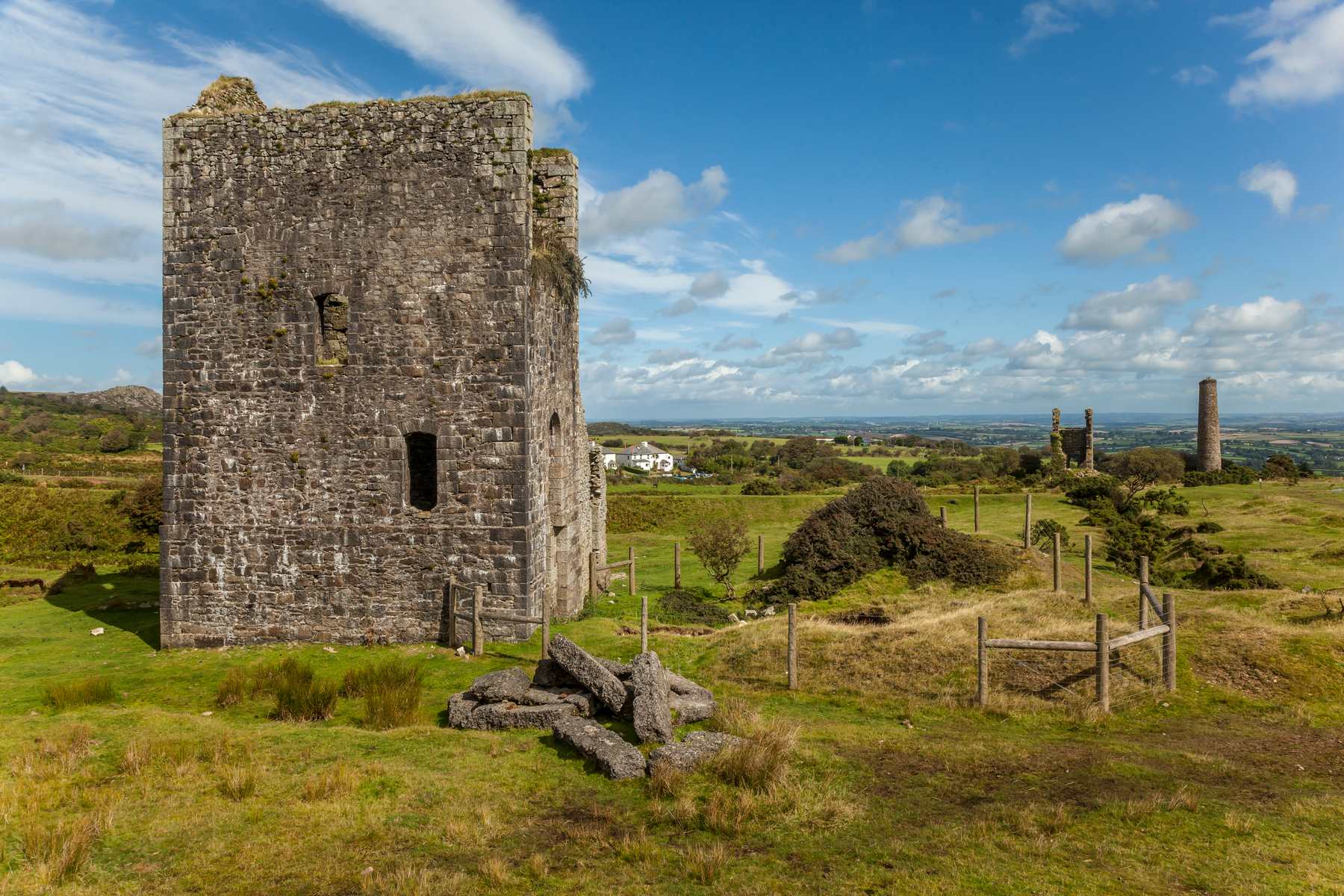 Wh Jenkin, Minions 2015